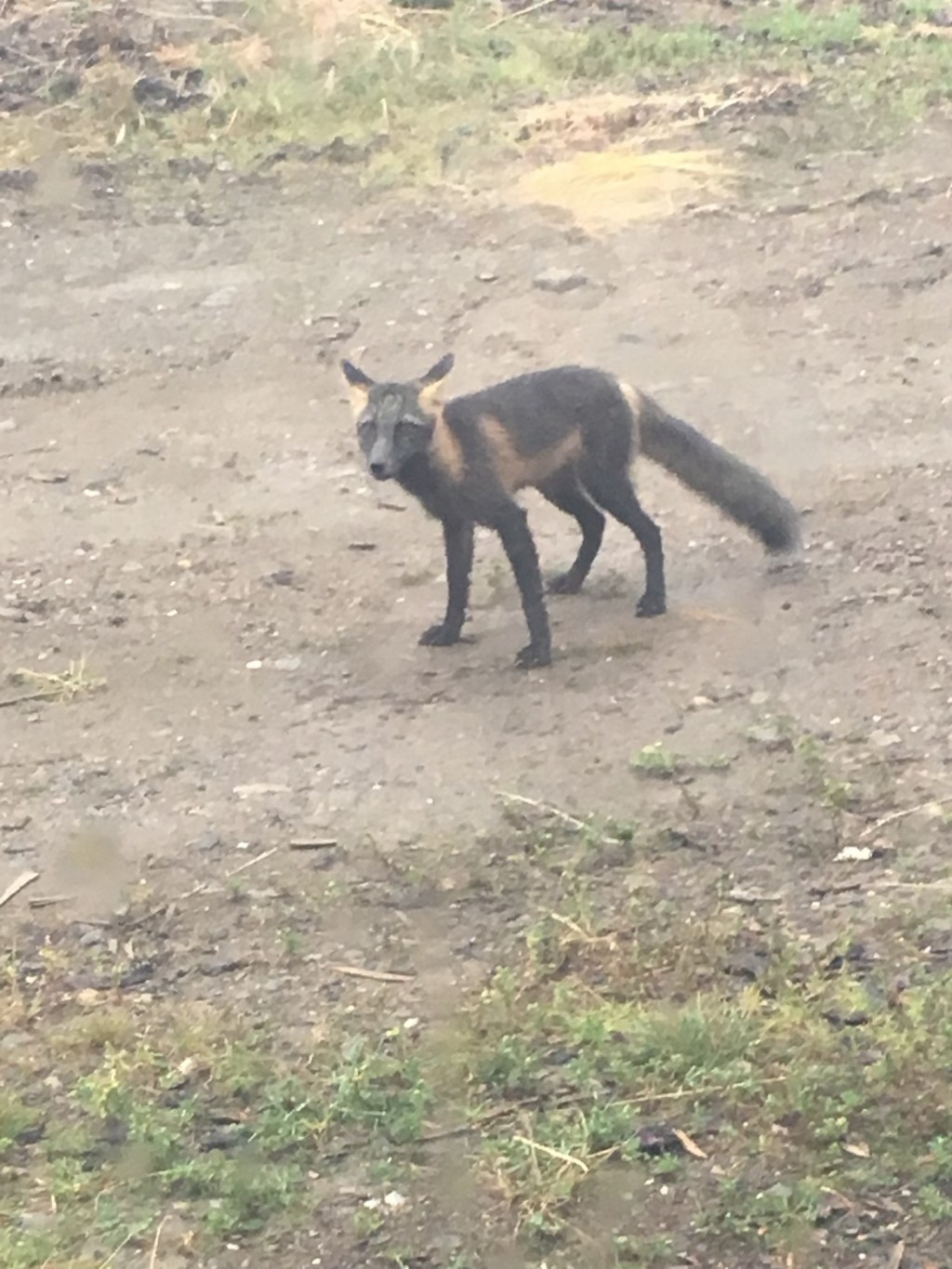 17e2245e-678c-4498-81c9-f2bd59d10d8c